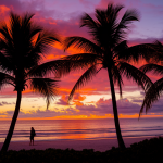 Floride Fort Myers : Découvrez cette Destination Incontournable