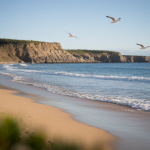 Plage Côte d&rsquo;Opale : Les Plus Belles Plages à Découvrir