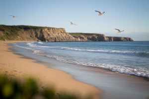 Plage Côte d&rsquo;Opale : Les Plus Belles Plages à Découvrir