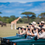 Prix Safari Afrique du Sud : Combien Coûte un Safari