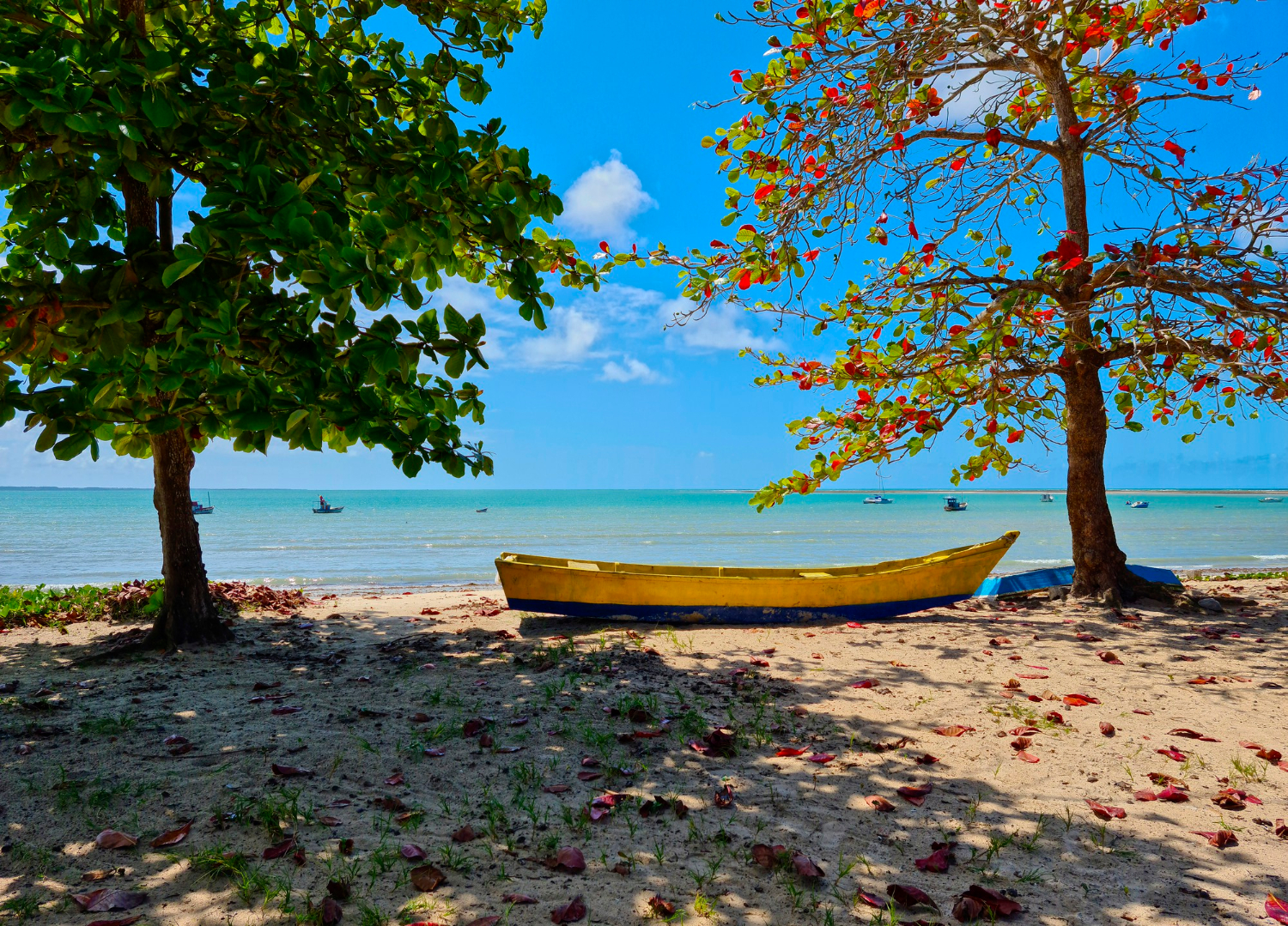 jolie plage 