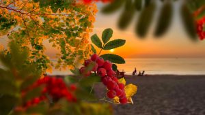 Septembre et l’été indien : plages paisibles, mer chaude et vendanges en fête