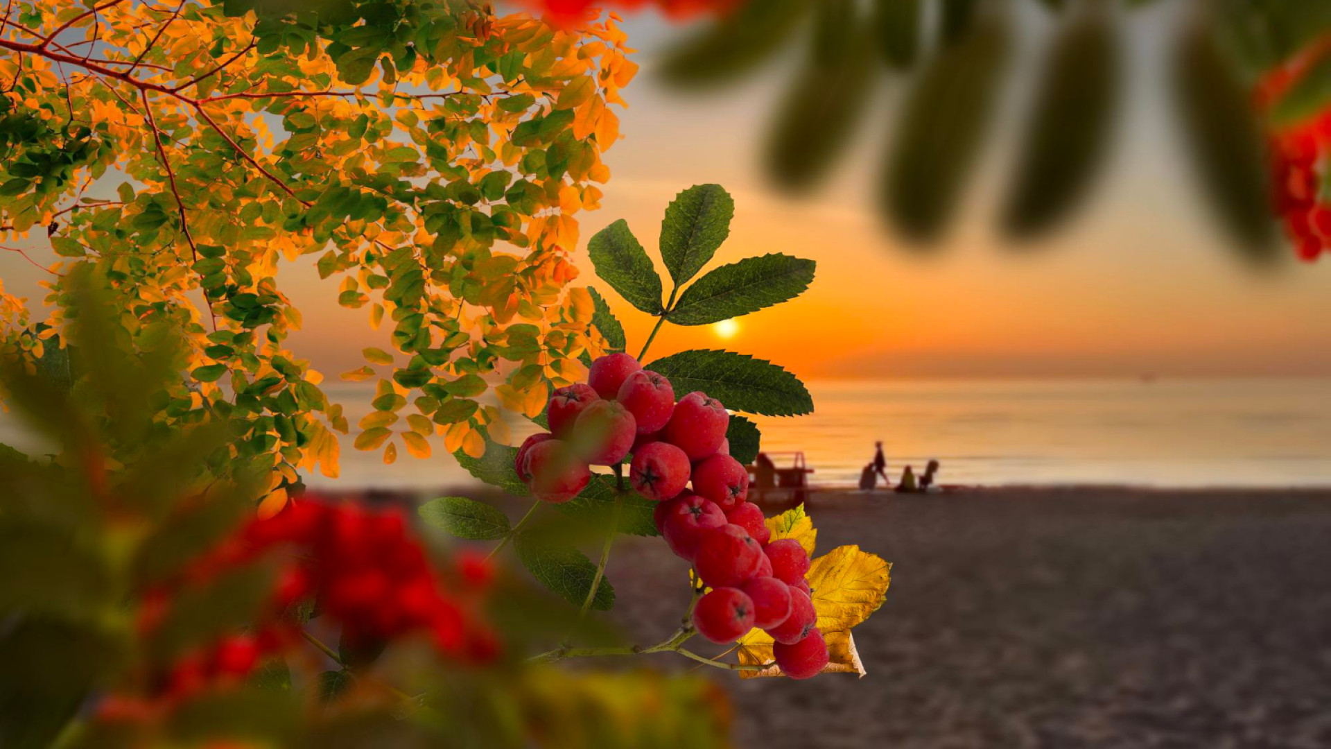 Septembre et l’été indien : plages paisibles, mer chaude et vendanges en fête
