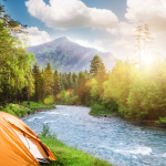 Voyager le long de la Loire en camping-car : étapes et découvertes en Loire-Atlantique
